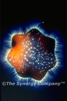 Kirlian Image